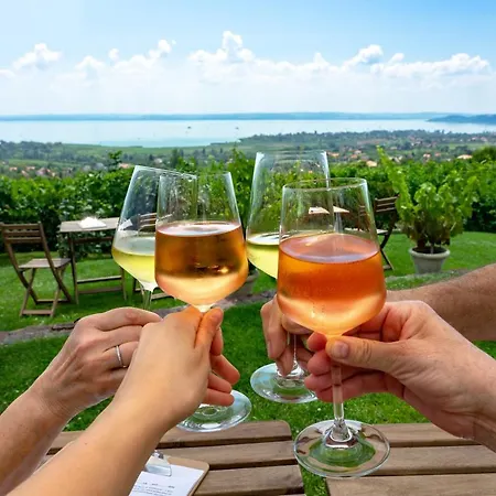 Villa7 Balaton Pensjonat