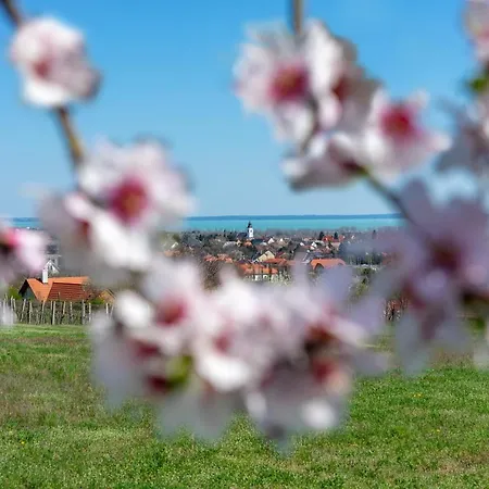 Villa7 Balaton 4* Alsoors