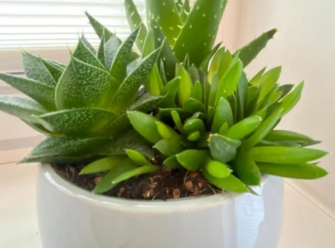 Villa7 Balaton Гостевой дом Альшоэрш