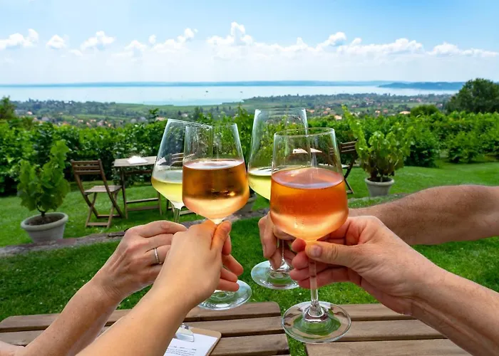 Villa7 Balaton Гостевой дом